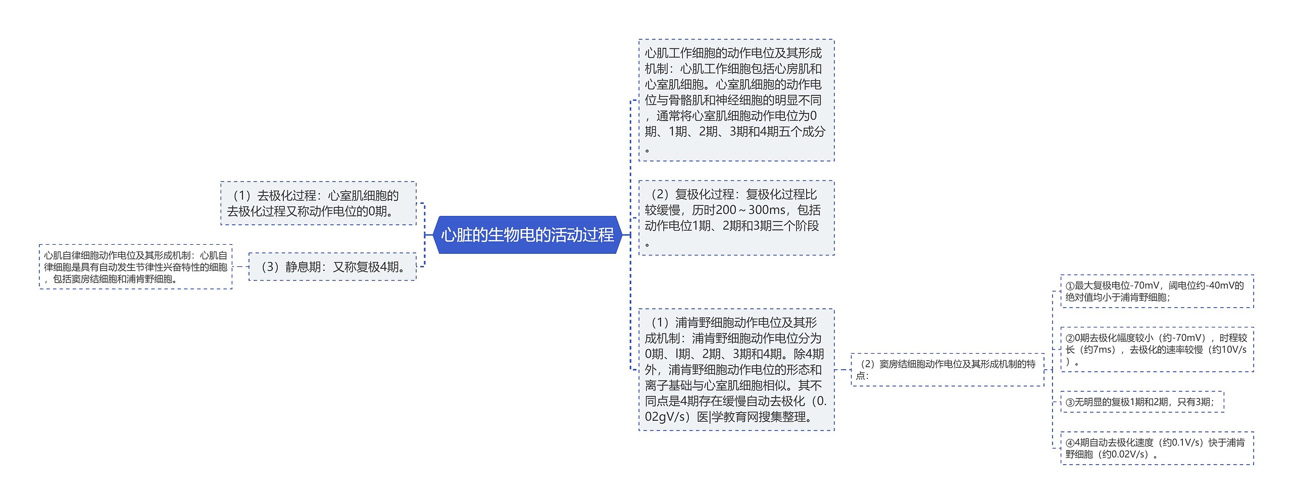 心脏的生物电的活动过程思维导图