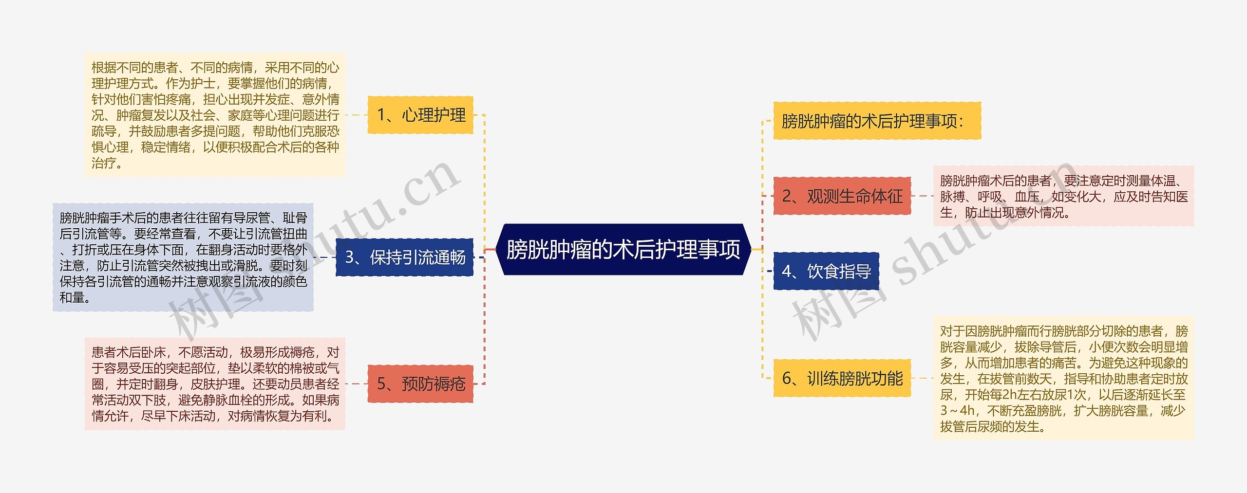 膀胱肿瘤的术后护理事项思维导图