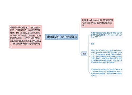 叶绿体简述-微生物学辅导