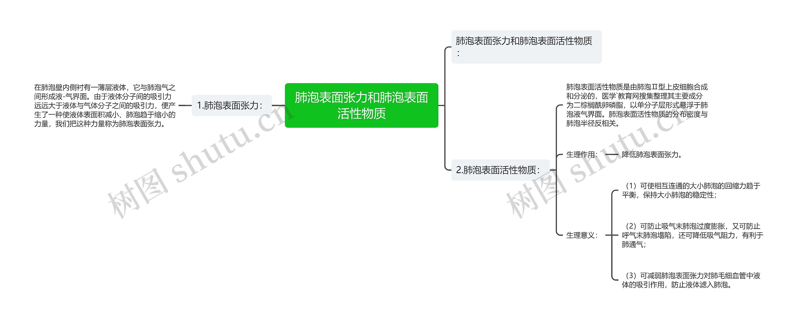 肺泡表面张力和肺泡表面活性物质思维导图