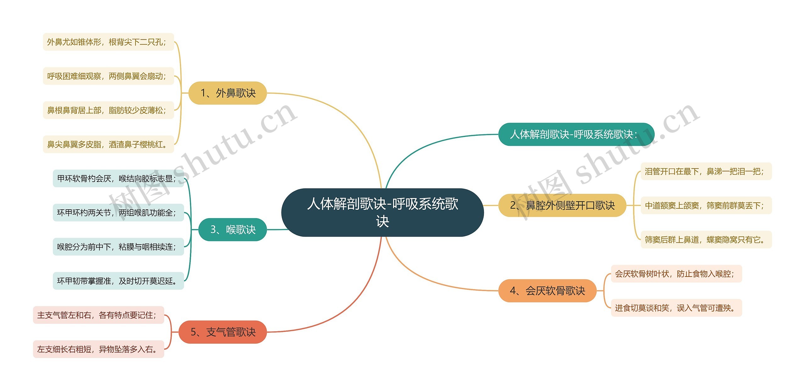 人体解剖歌诀-呼吸系统歌诀思维导图