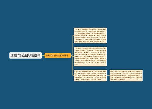 细菌群体的生长繁殖四期