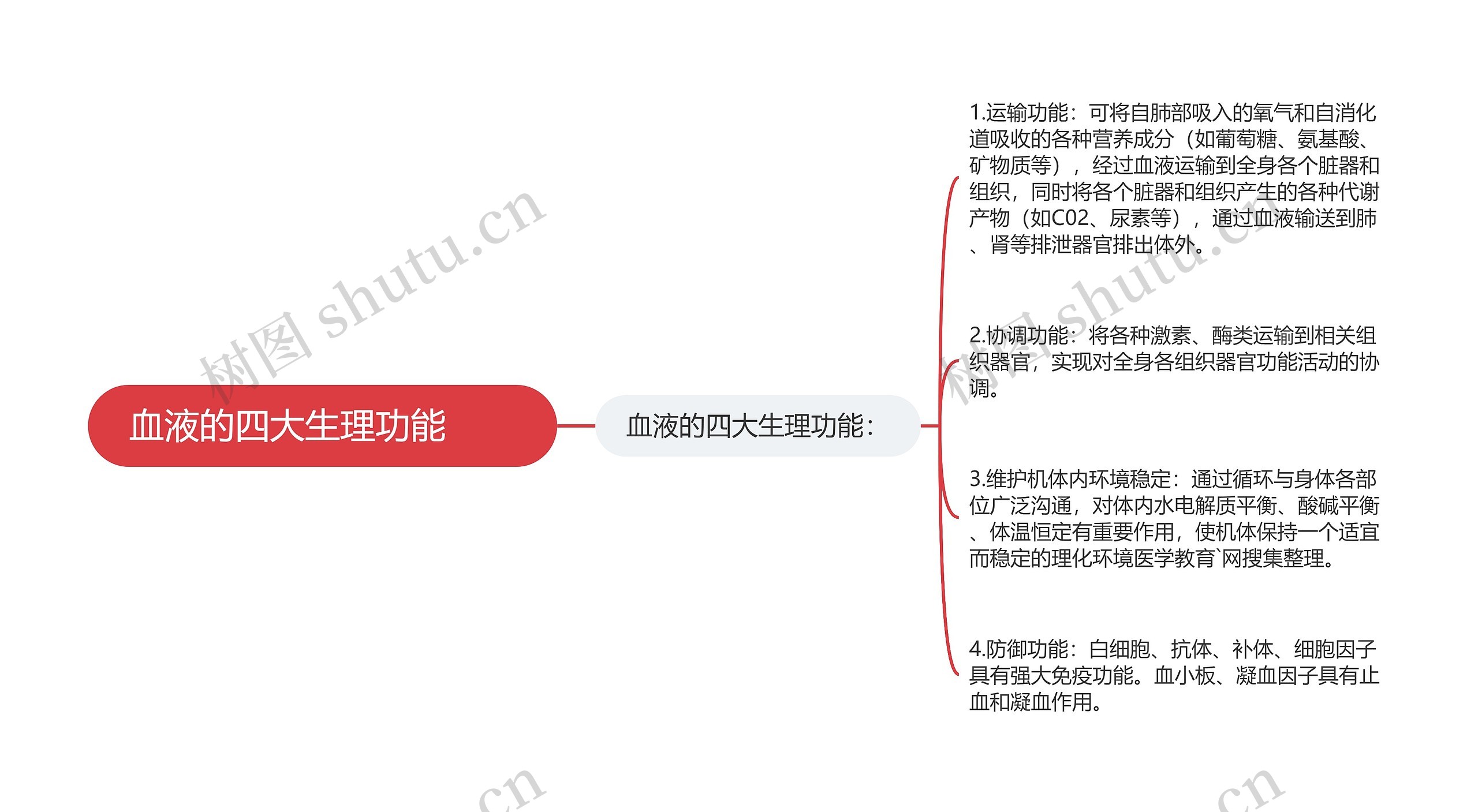 血液的四大生理功能　　