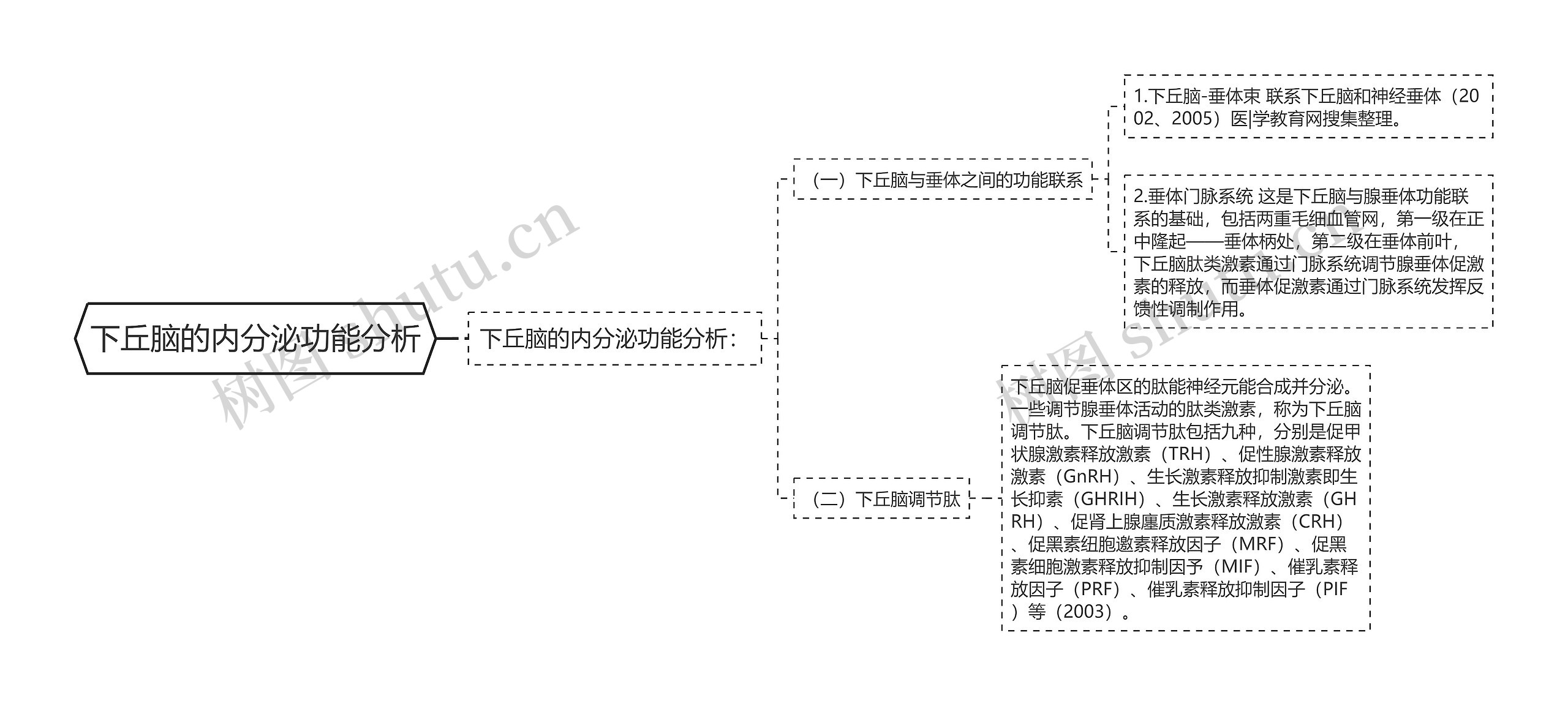 下丘脑的内分泌功能分析