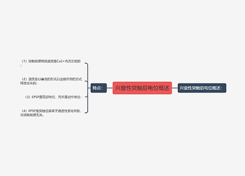 兴奋性突触后电位概述