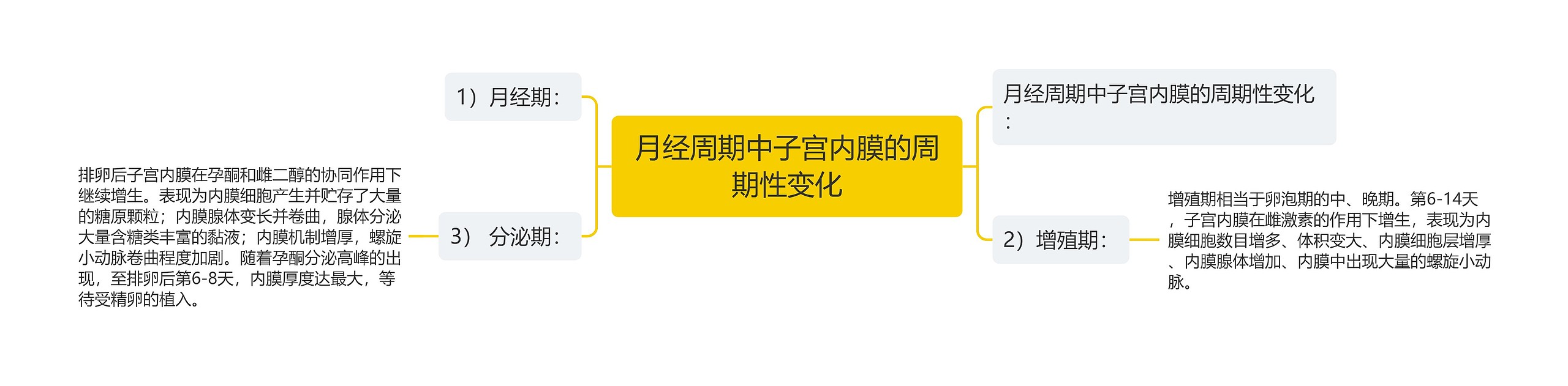 月经周期中子宫内膜的周期性变化思维导图