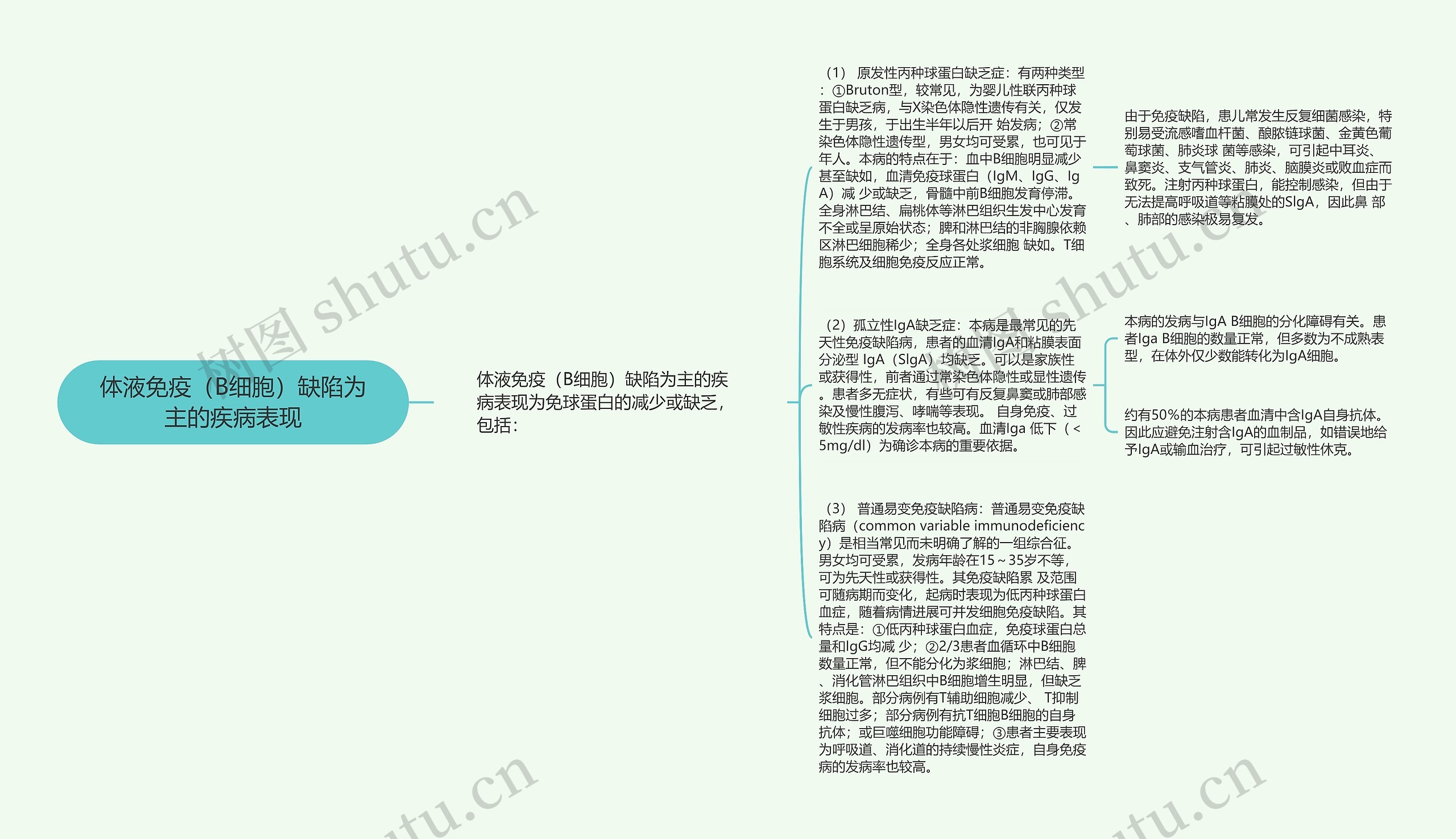 体液免疫(B细胞)缺陷为主的疾病表现 体液免疫(B细胞)缺陷为主的疾病表现