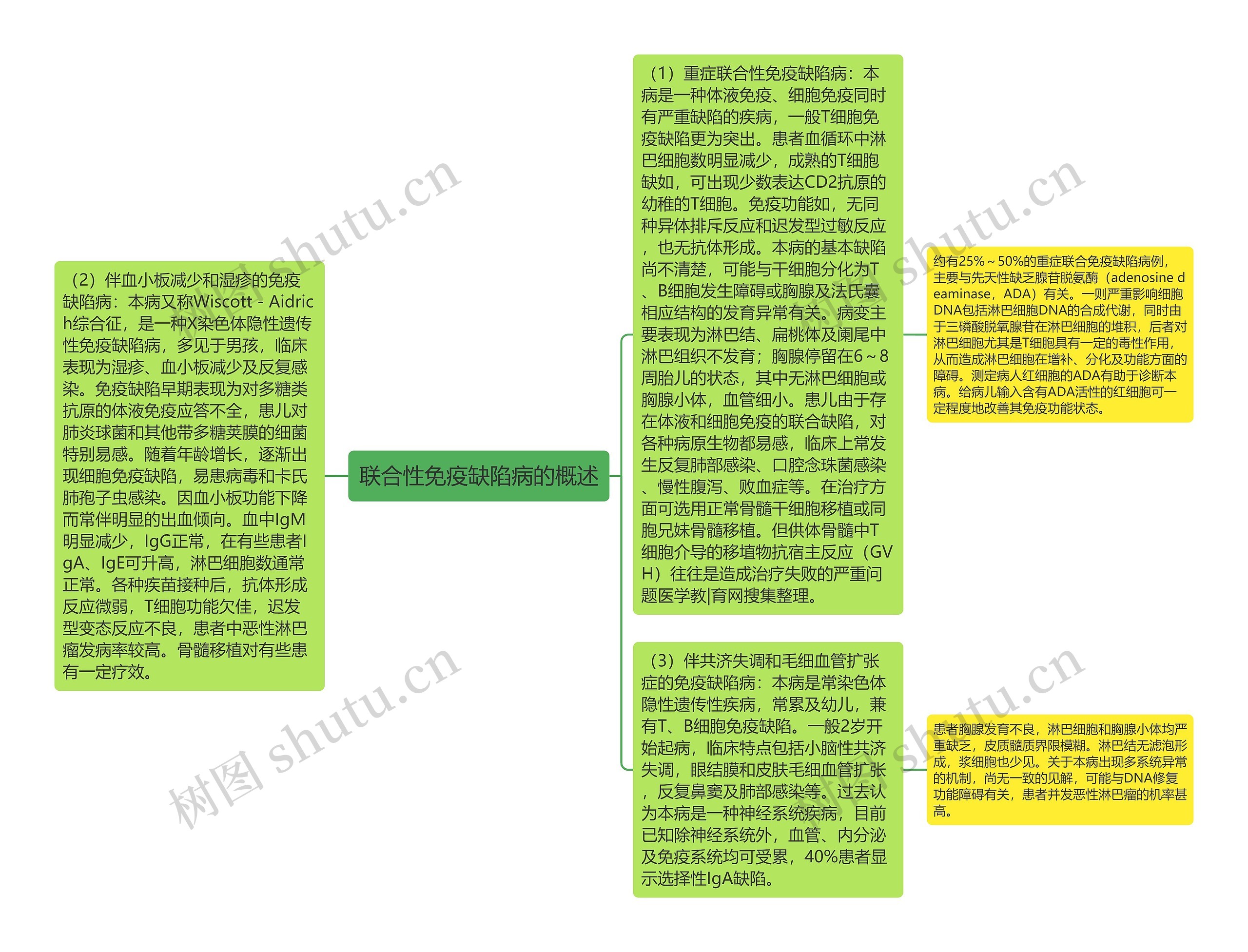 联合性免疫缺陷病的概述思维导图