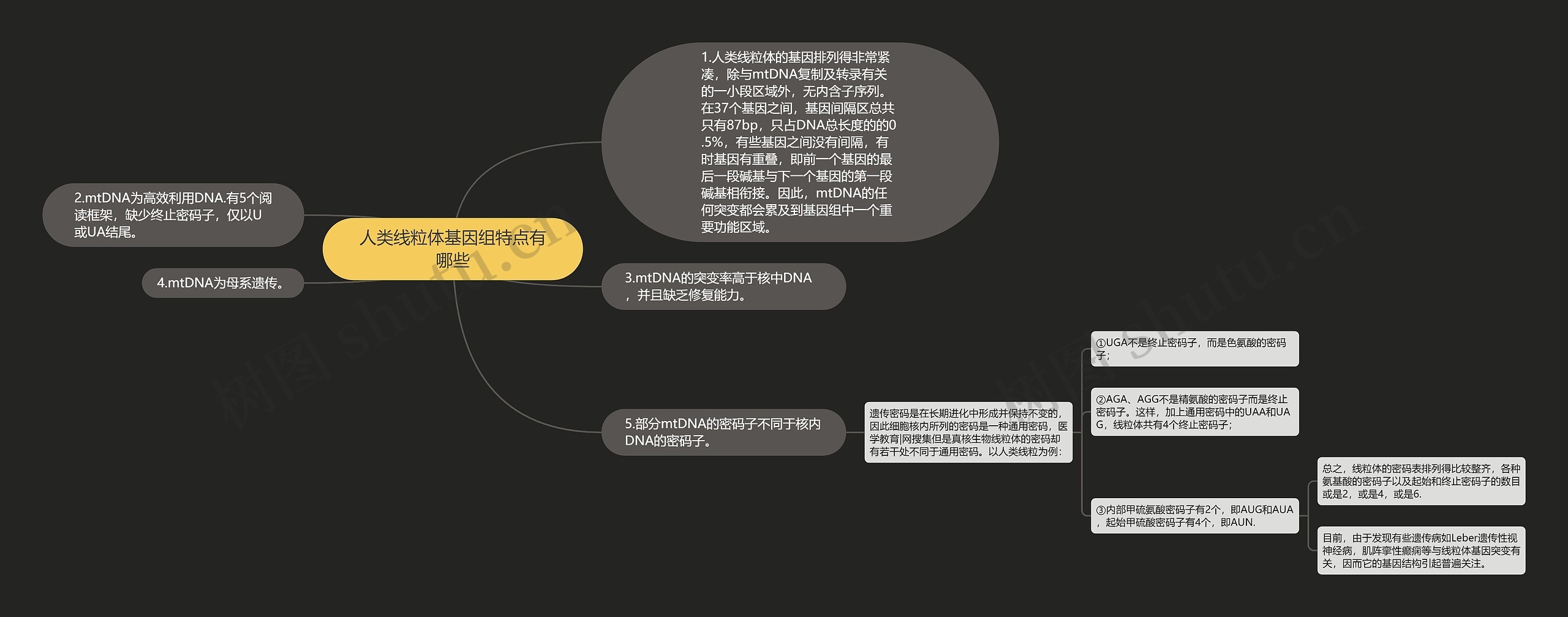 人类线粒体基因组特点有哪些思维导图