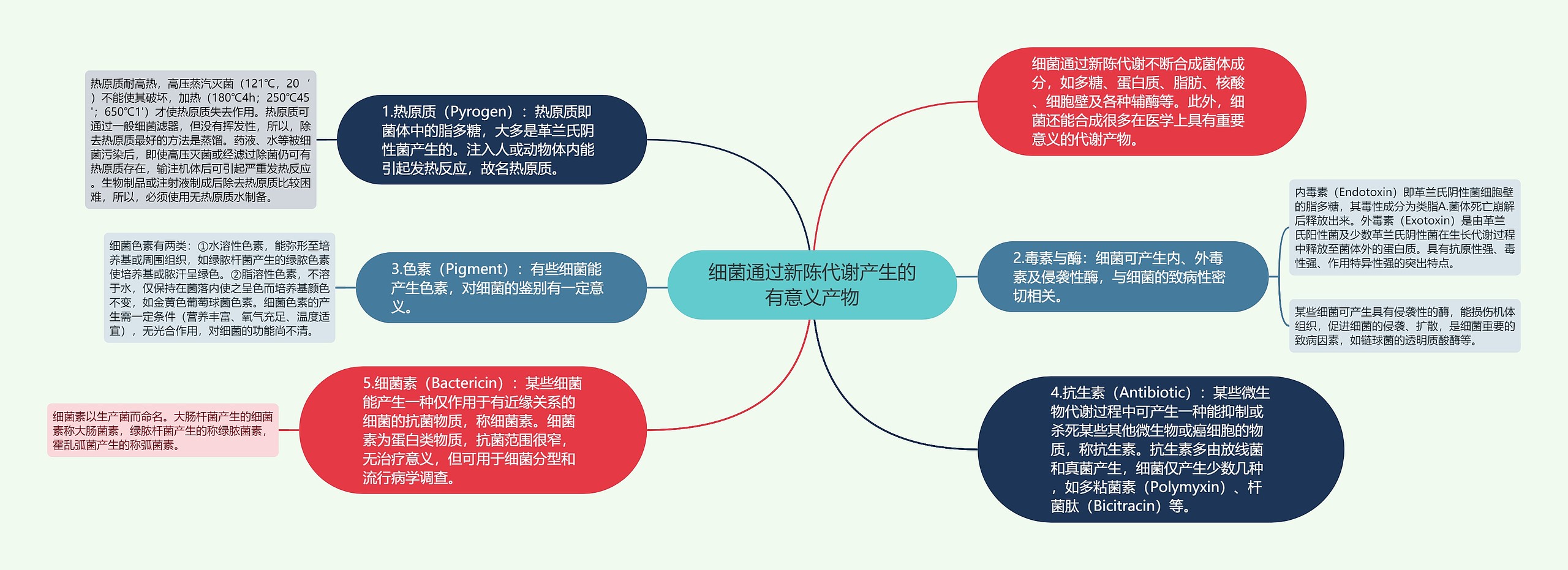 细菌通过新陈代谢产生的有意义产物思维导图