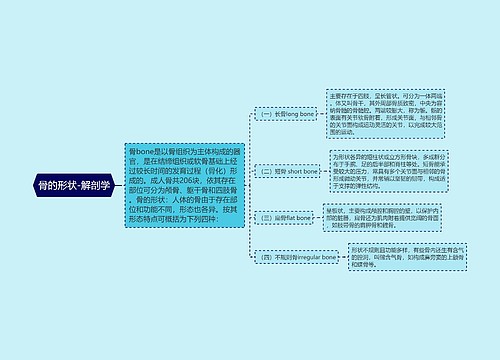 骨的形状-解剖学