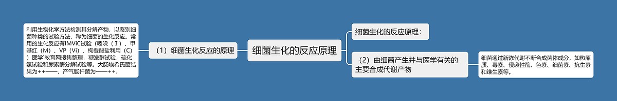 细菌生化的反应原理思维导图_编号p7550165-TreeMind树图
