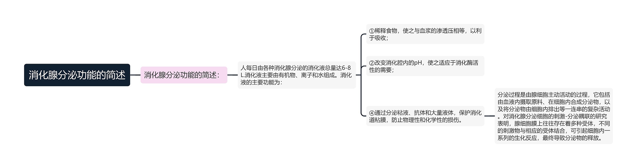 消化腺分泌功能的简述思维导图