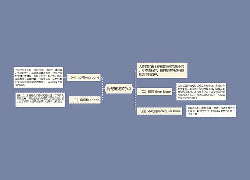 骨的形态特点