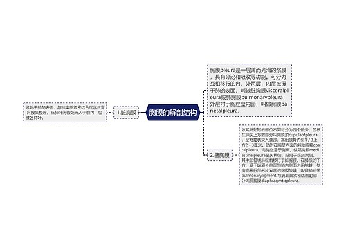 胸膜的解剖结构