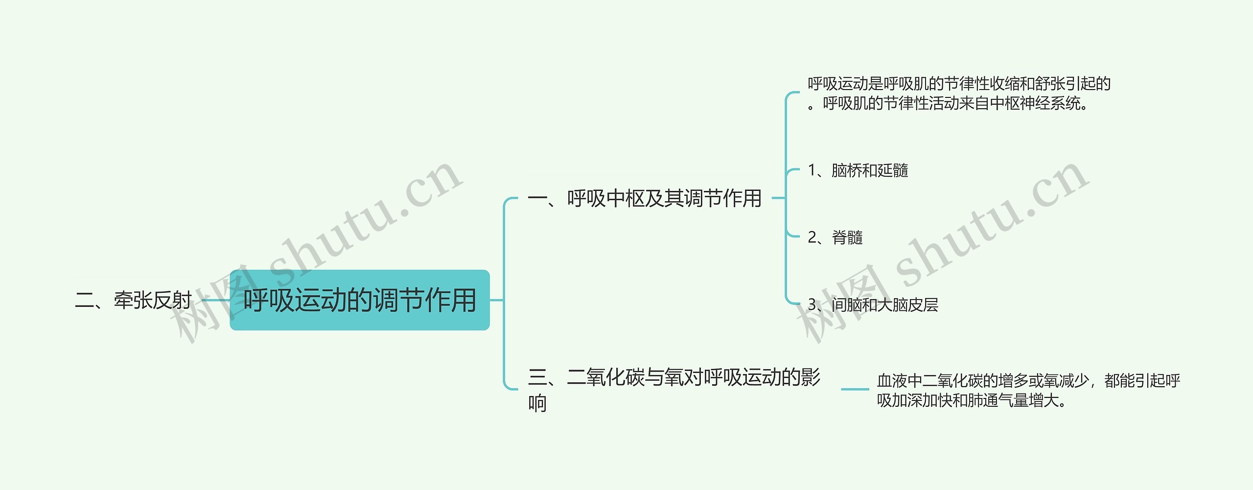 呼吸运动的调节作用