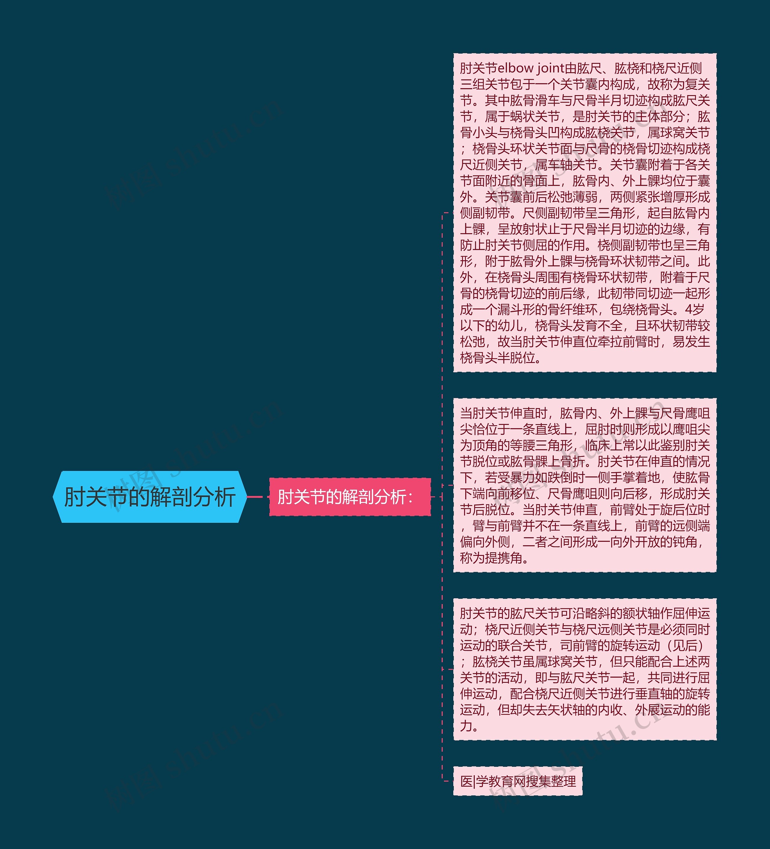 肘关节的解剖分析思维导图