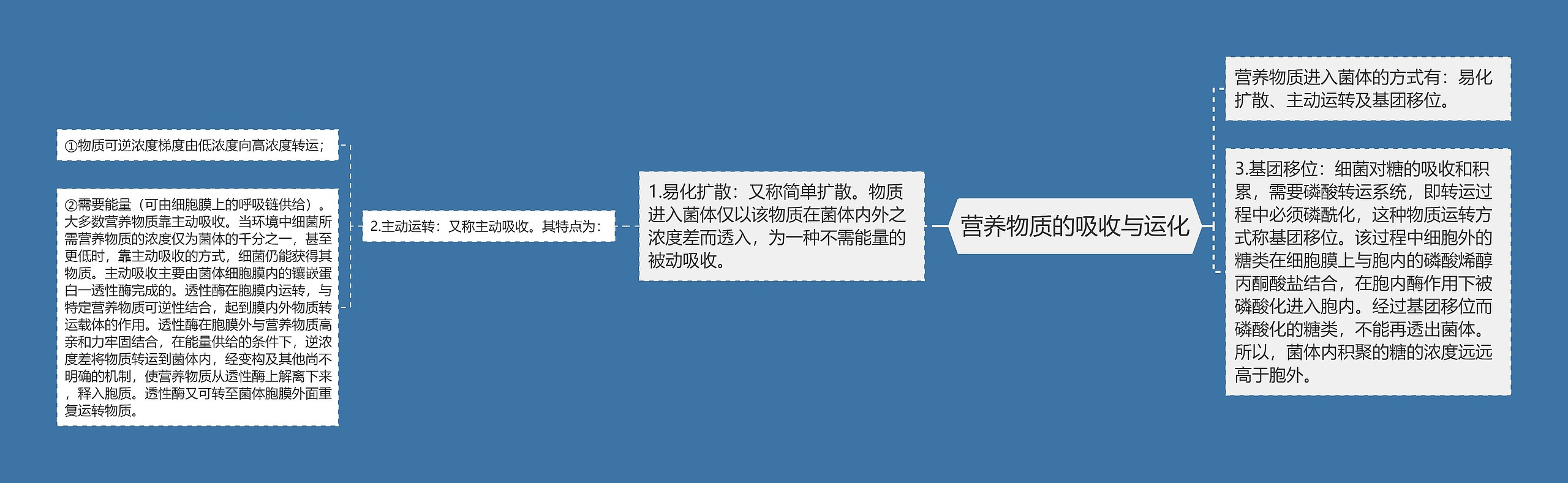营养物质的吸收与运化