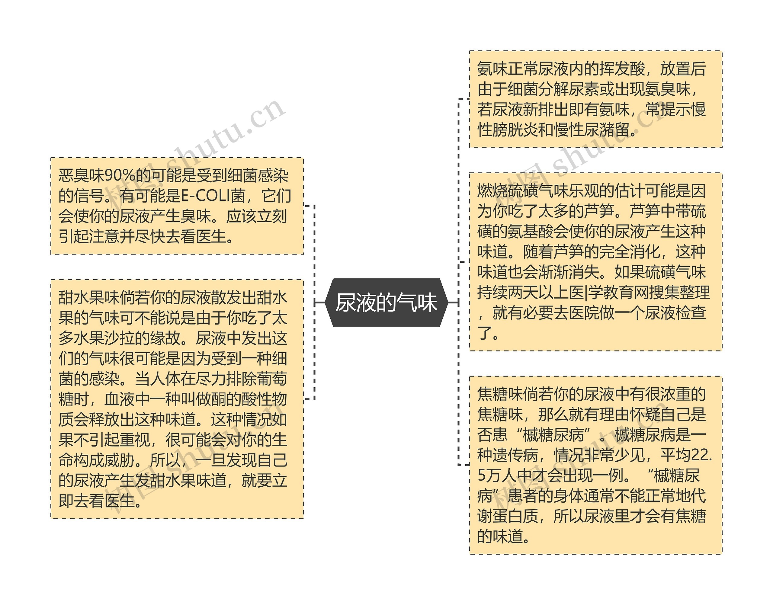 尿液的气味思维导图