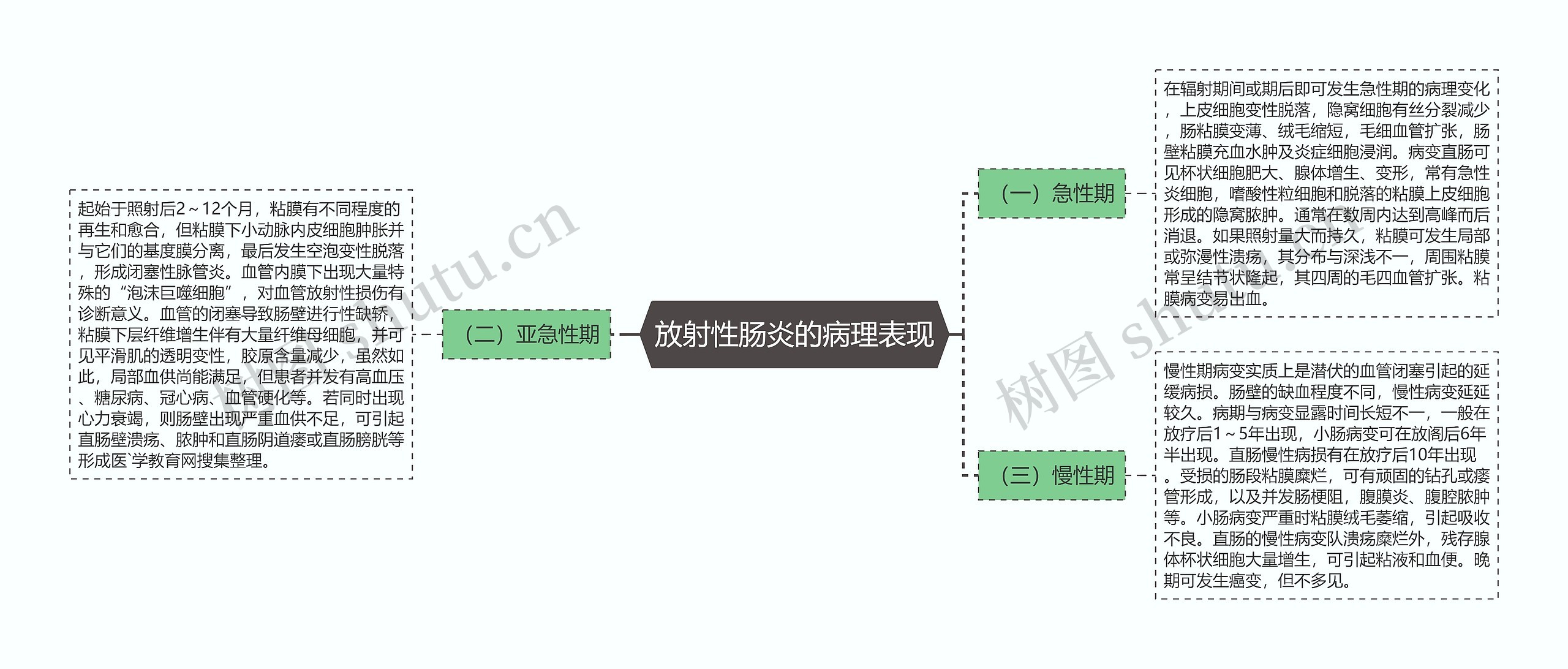 放射性肠炎的病理表现思维导图