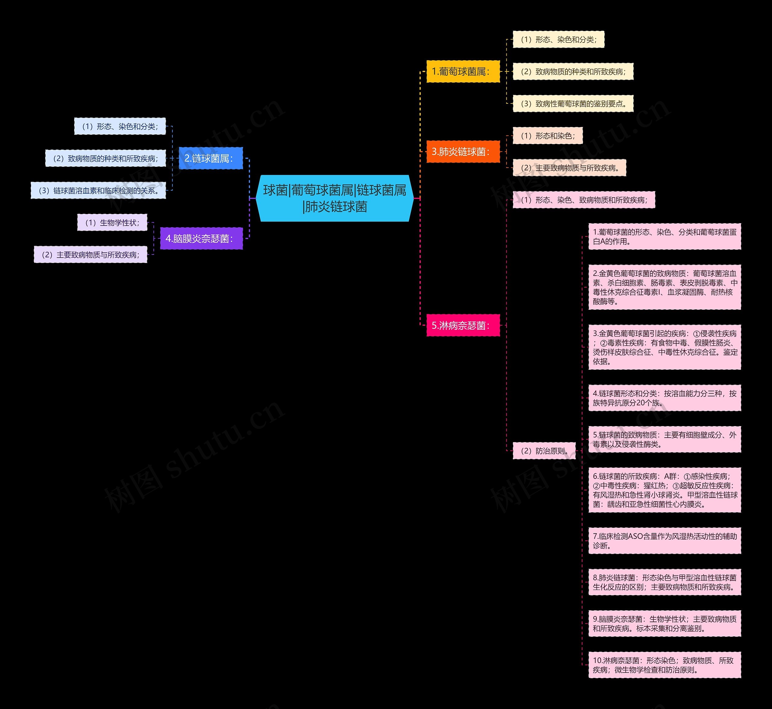 球菌|葡萄球菌属|链球菌属|肺炎链球菌思维导图
