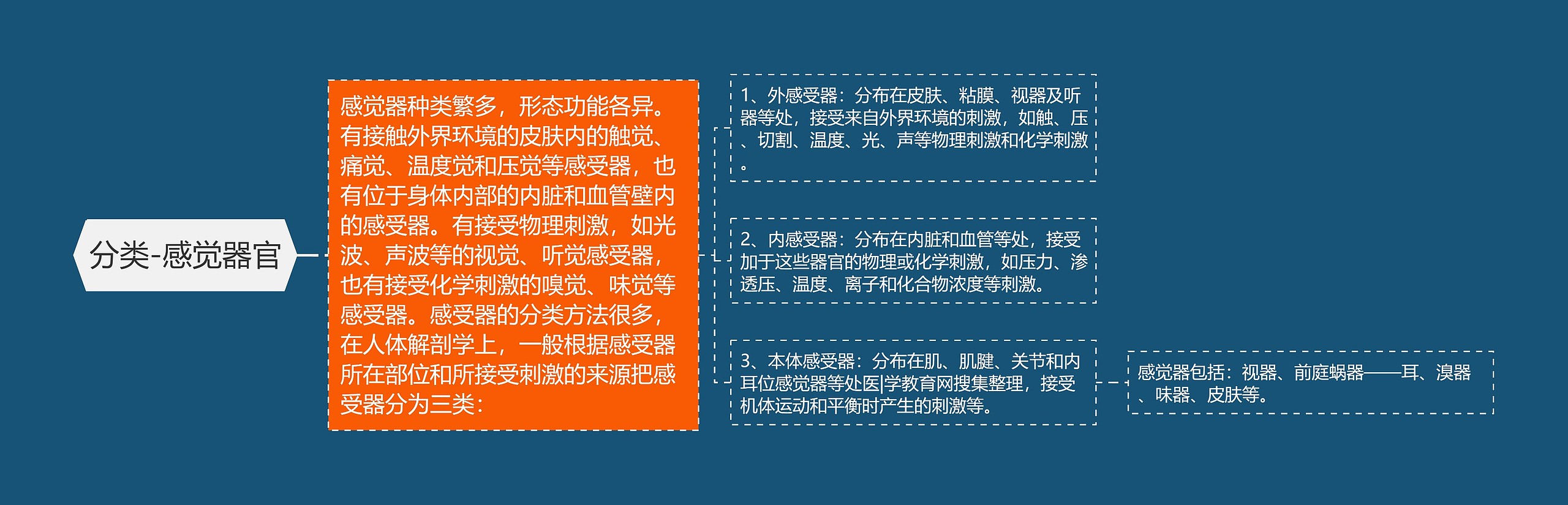 分类-感觉器官思维导图