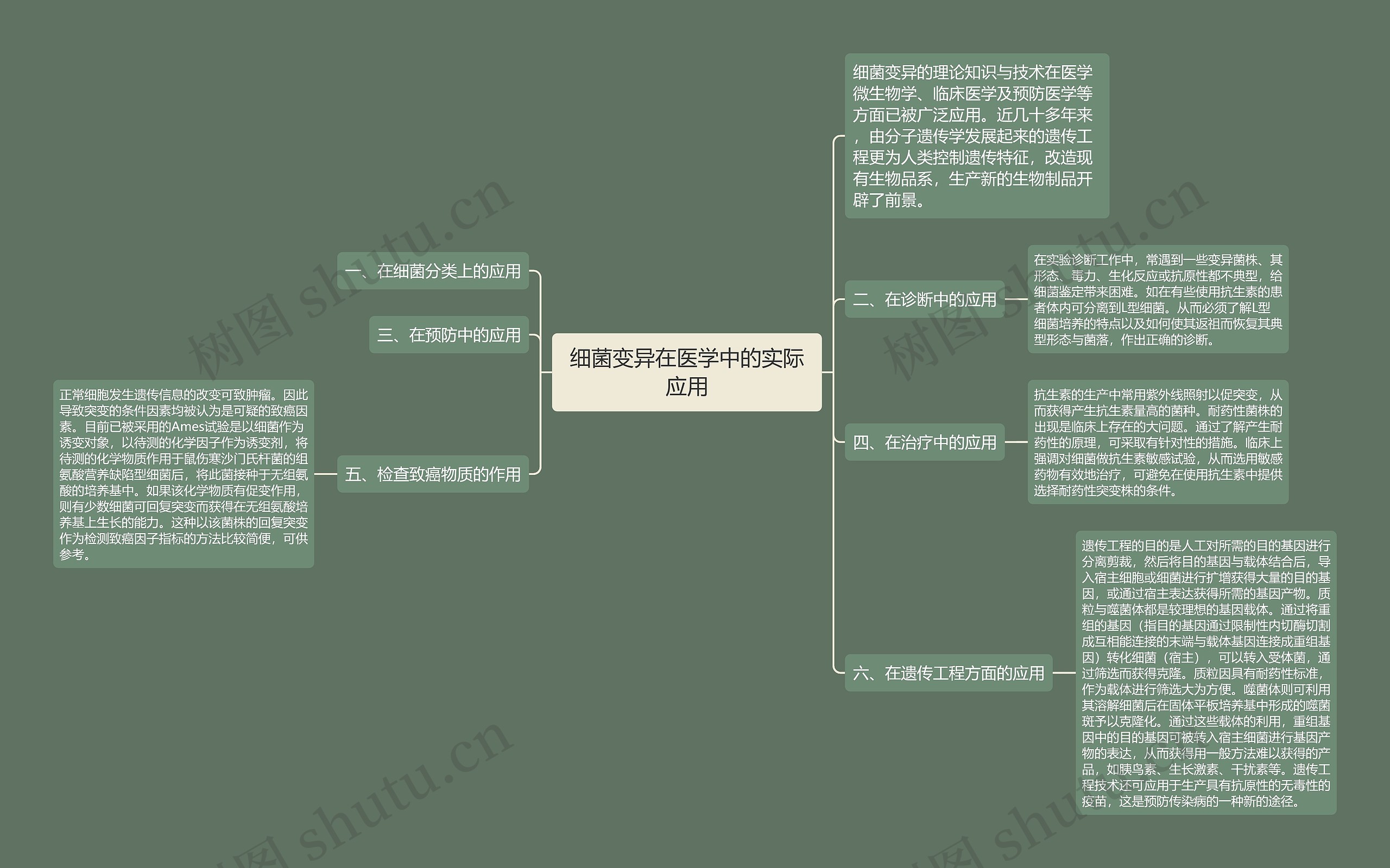 细菌变异在医学中的实际应用思维导图