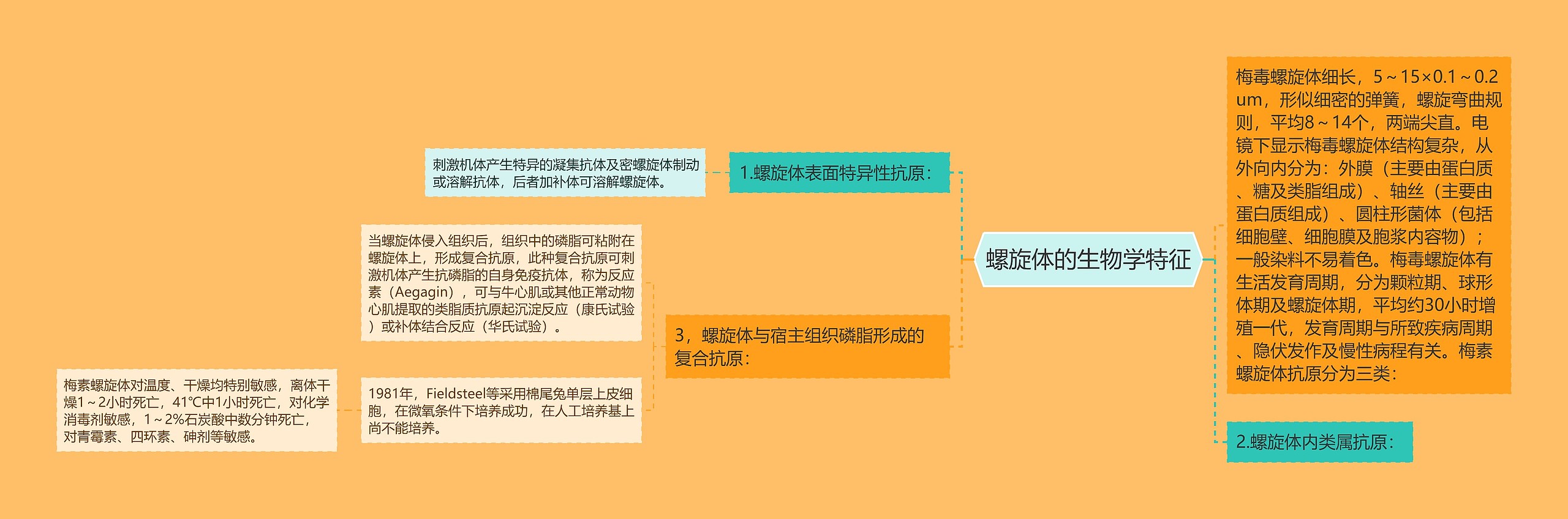 螺旋体的生物学特征思维导图