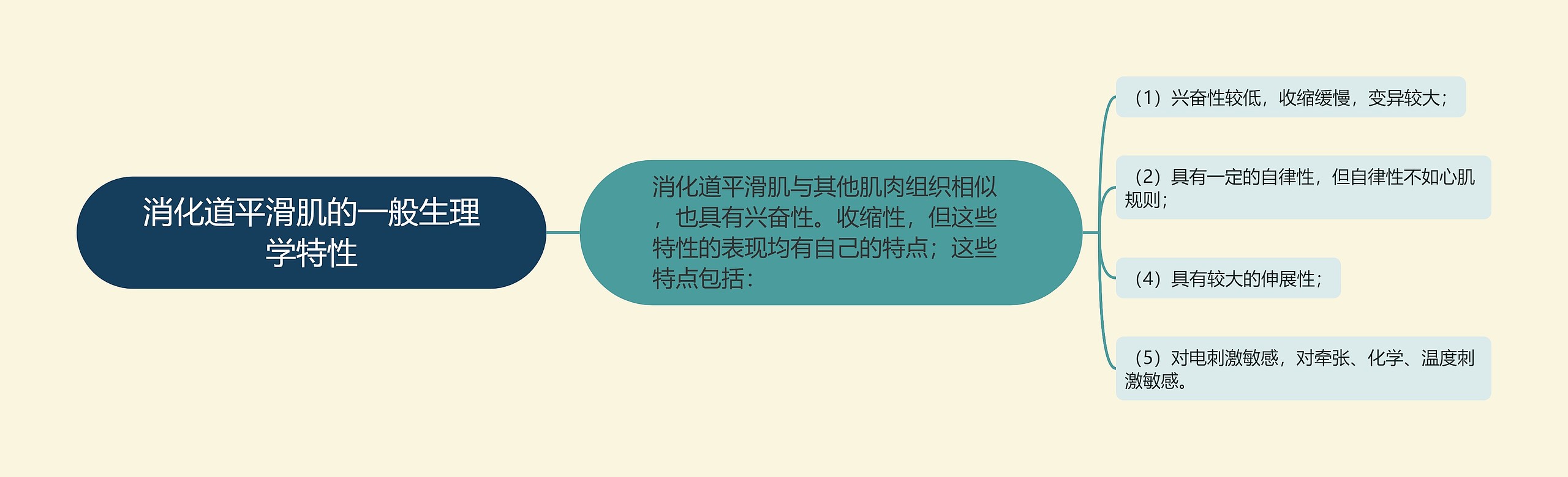 消化道平滑肌的一般生理学特性