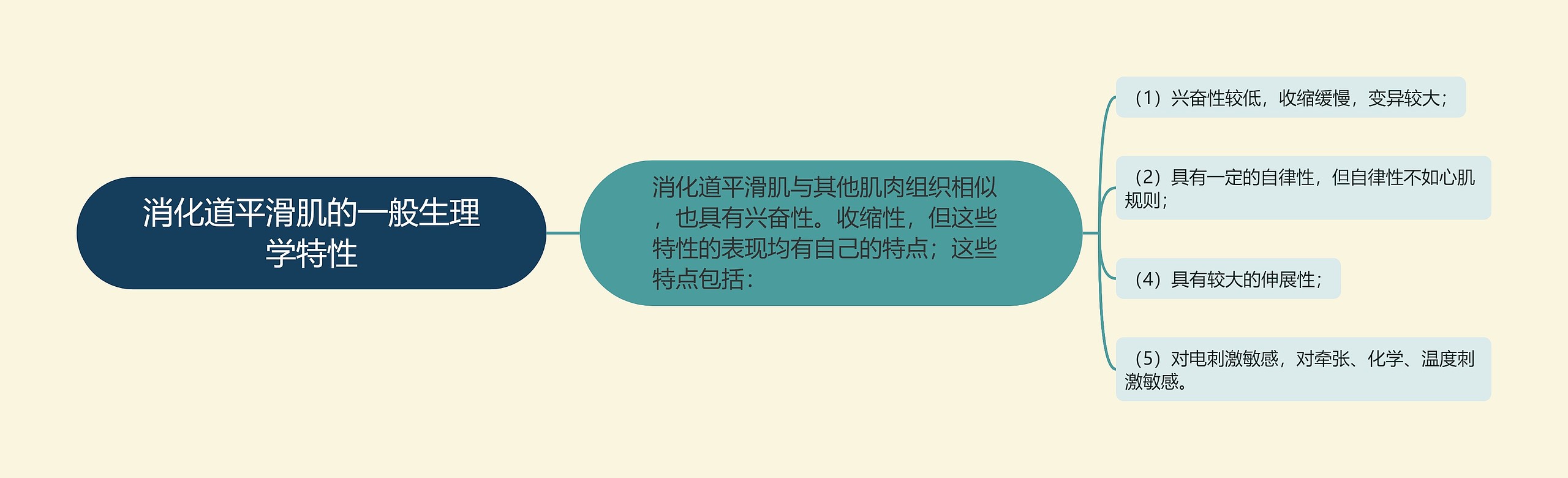 消化道平滑肌的一般生理学特性思维导图