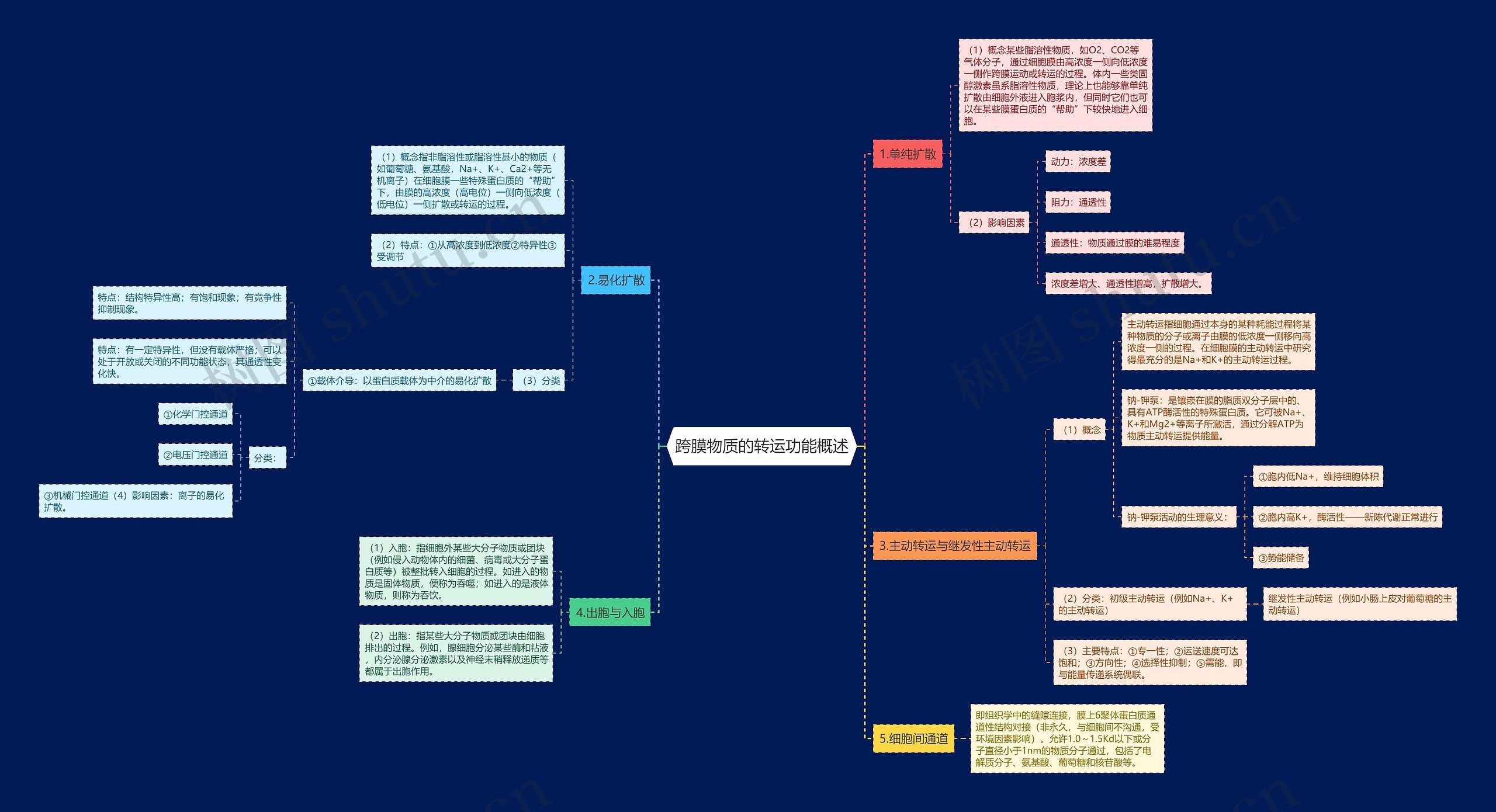 跨膜物质的转运功能概述思维导图