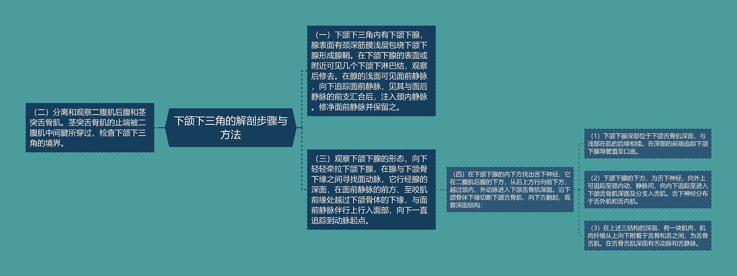下颌下三角的解剖步骤与方法 下颌下三角的解剖步骤与方法