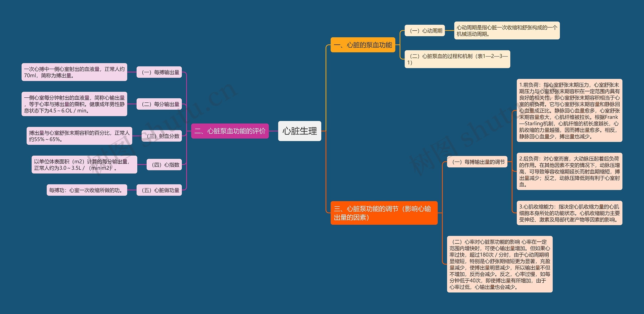 心脏生理思维导图