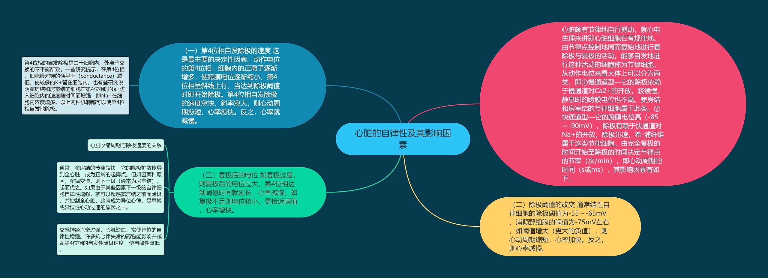 心脏的自律性及其影响因素思维导图