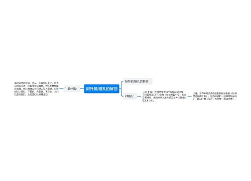 眼外肌|瞳孔的解剖