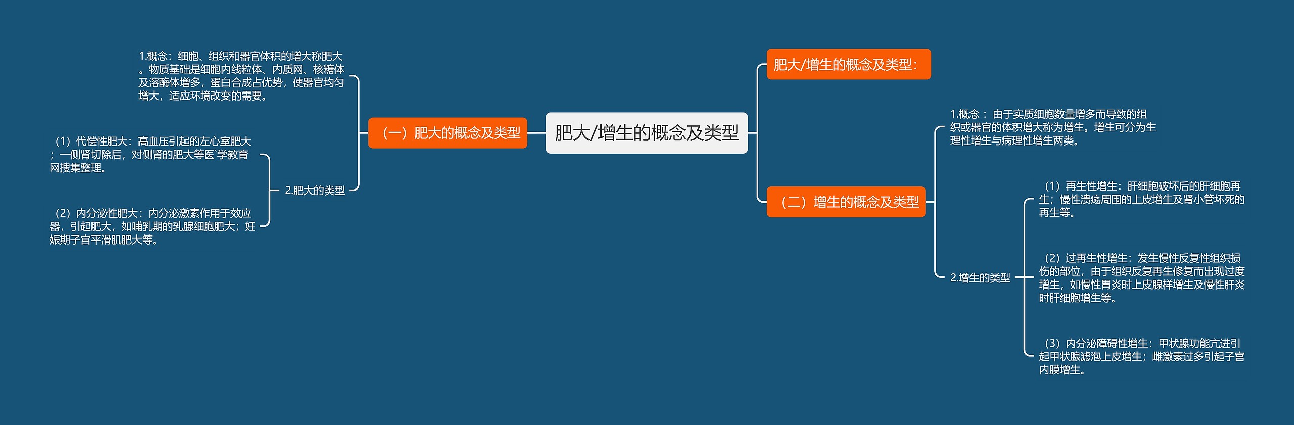 肥大/增生的概念及类型