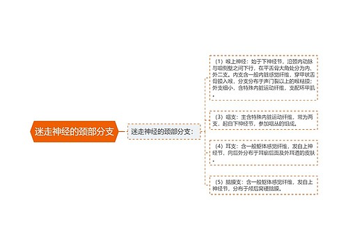 迷走神经的颈部分支