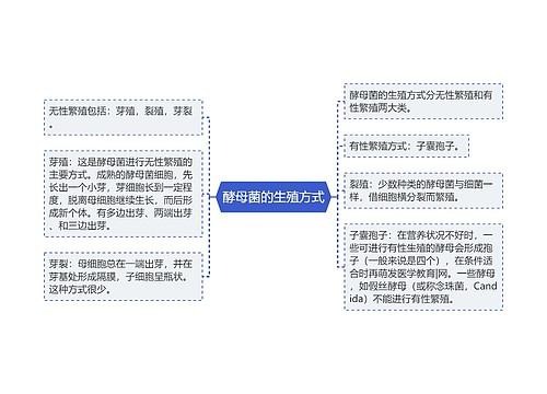 酵母菌的生殖方式