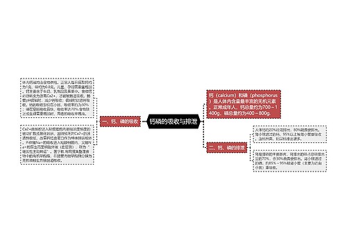 钙磷的吸收与排泄