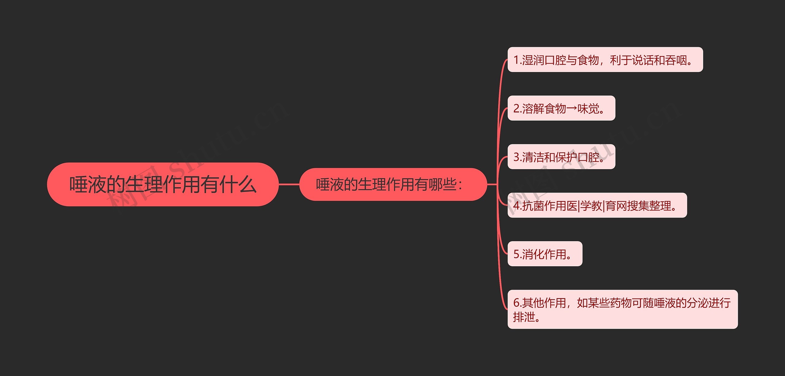 唾液的生理作用有什么