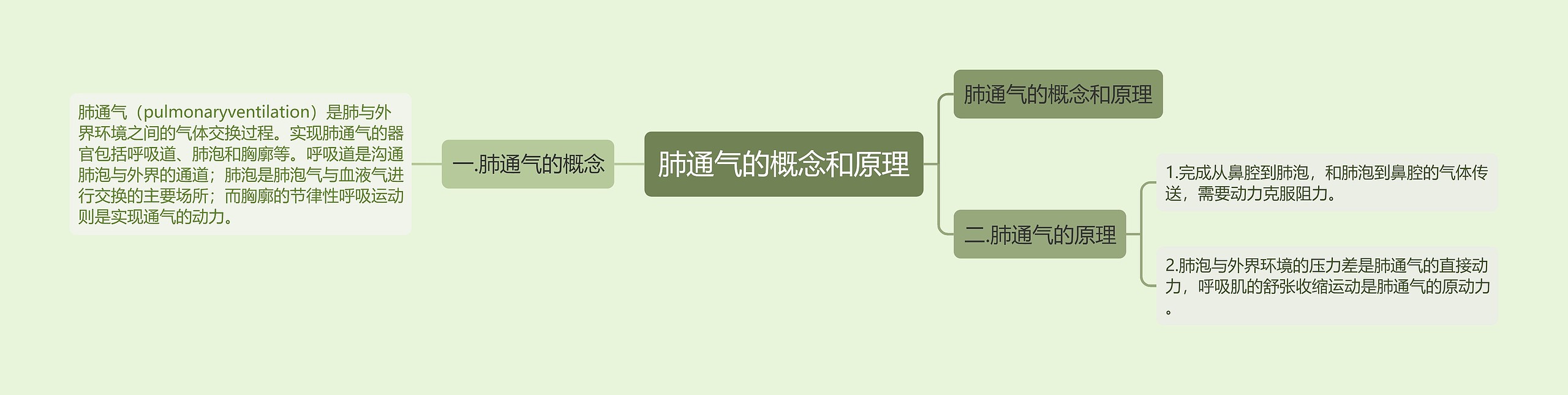 肺通气的概念和原理