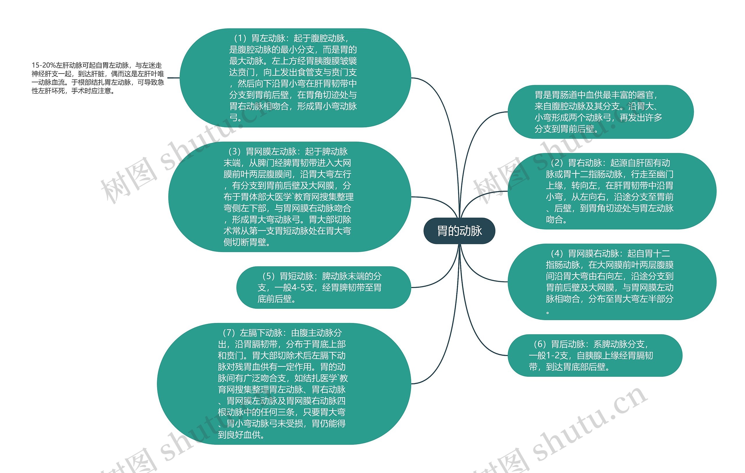 胃的动脉思维导图