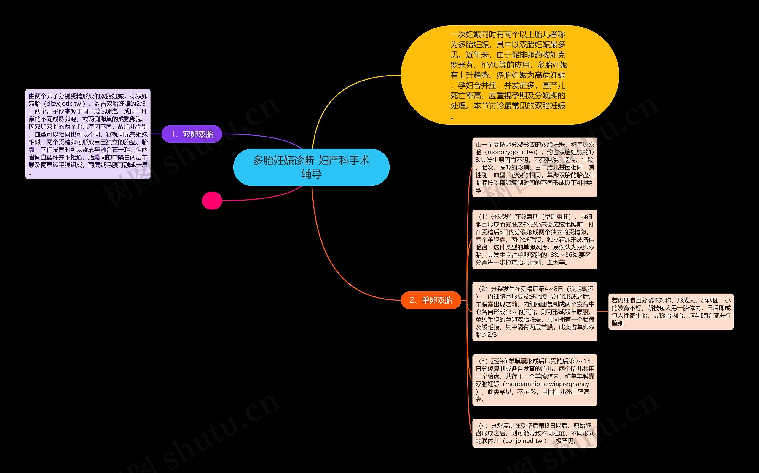 多胎妊娠诊断-妇产科手术辅导