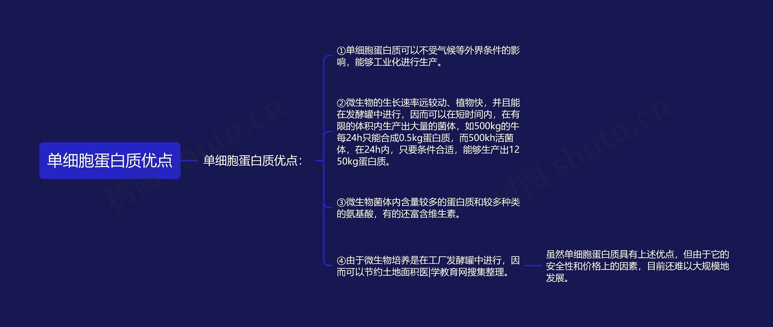 单细胞蛋白质优点思维导图