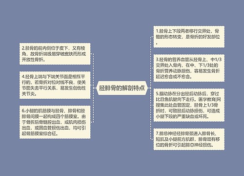 胫腓骨的解剖特点