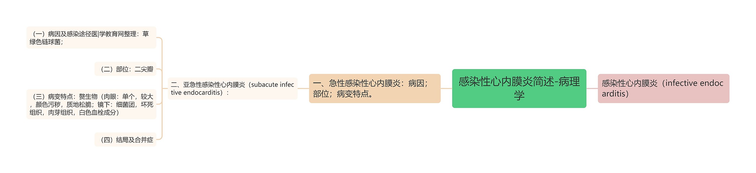 感染性心内膜炎简述-病理学思维导图