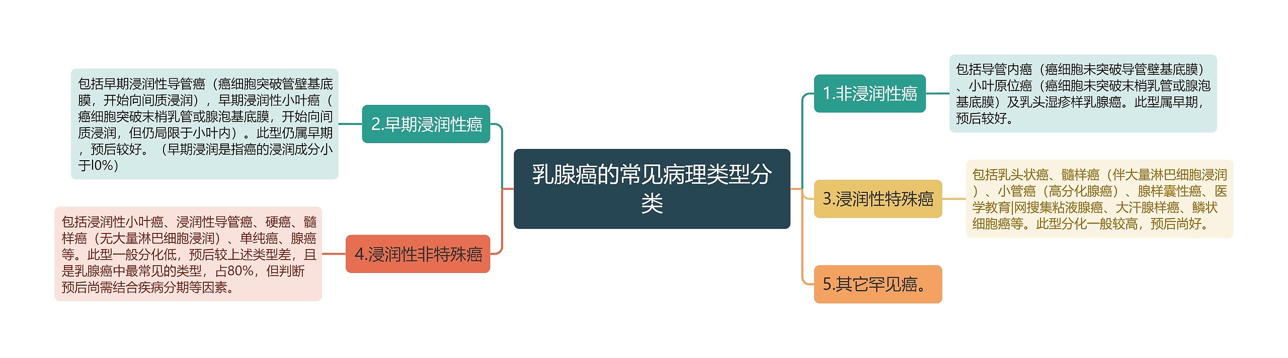 乳腺癌的常见病理类型分类思维导图