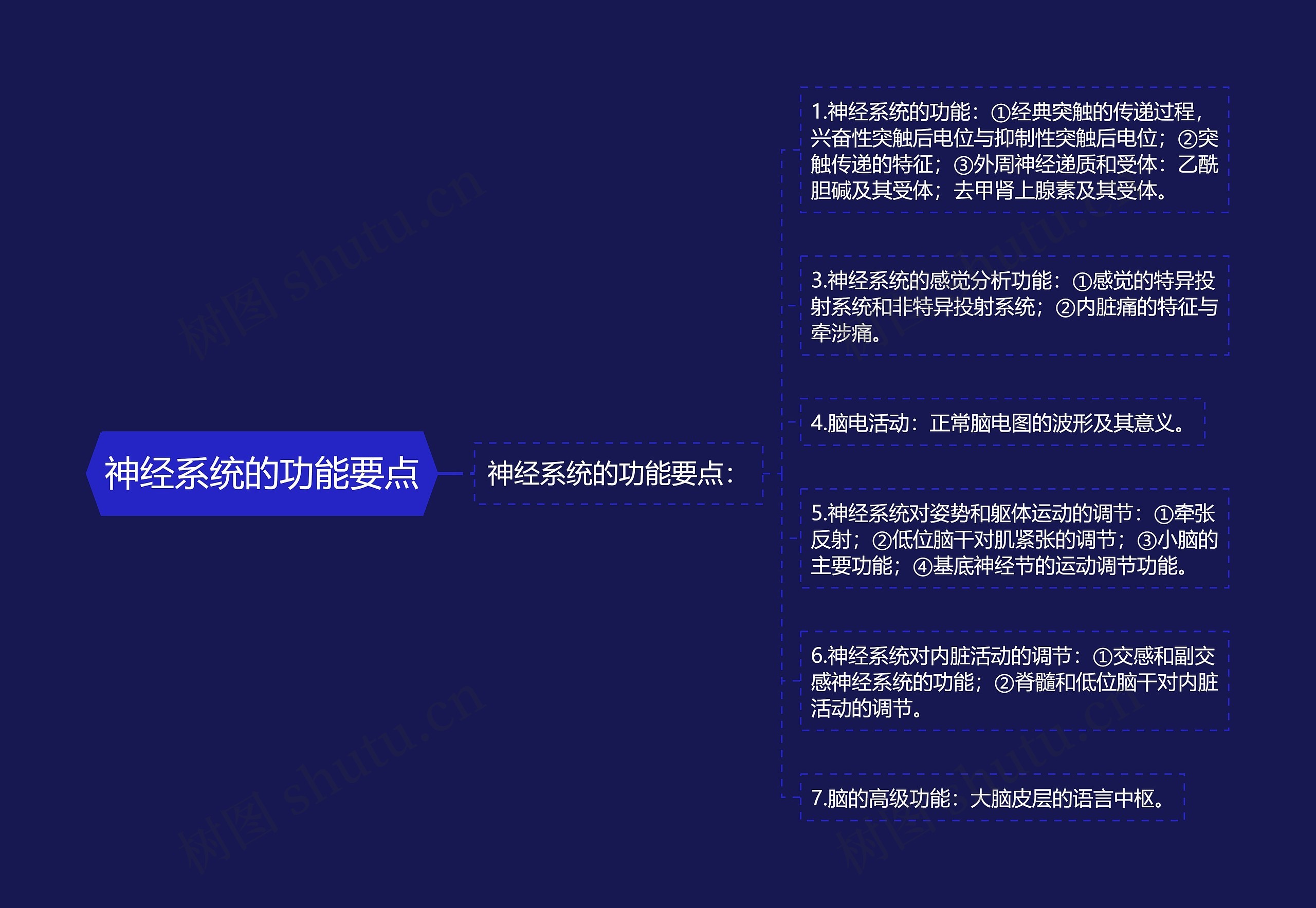 神经系统的功能要点思维导图