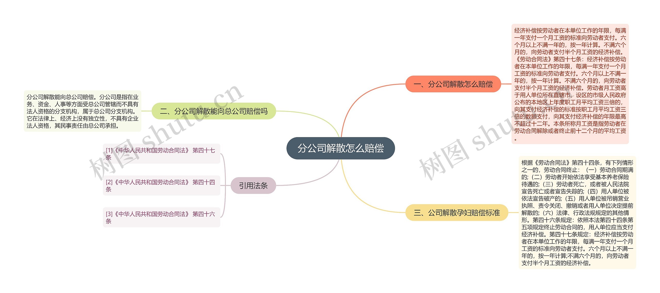 分公司解散怎么赔偿思维导图