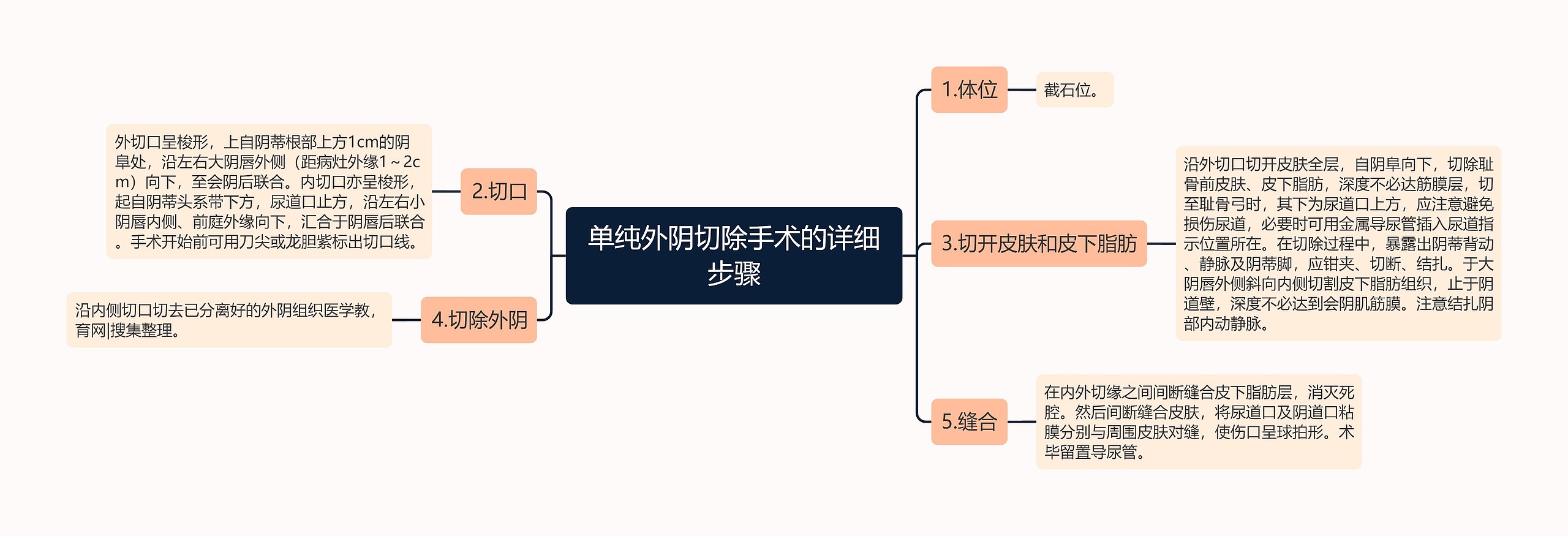 单纯外阴切除手术的详细步骤思维导图